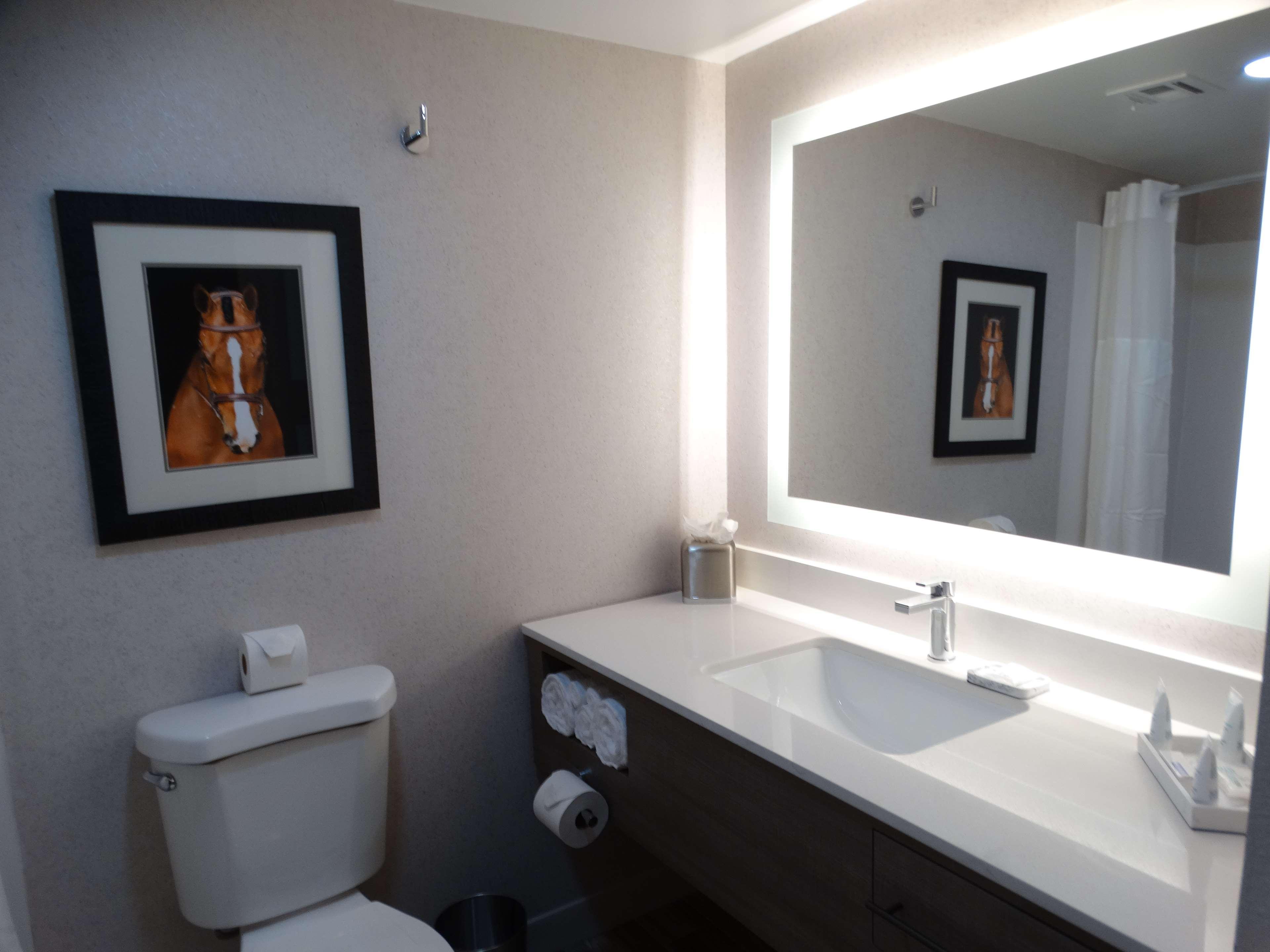 Aiden By Best Western Scottsdale North المظهر الخارجي الصورة
