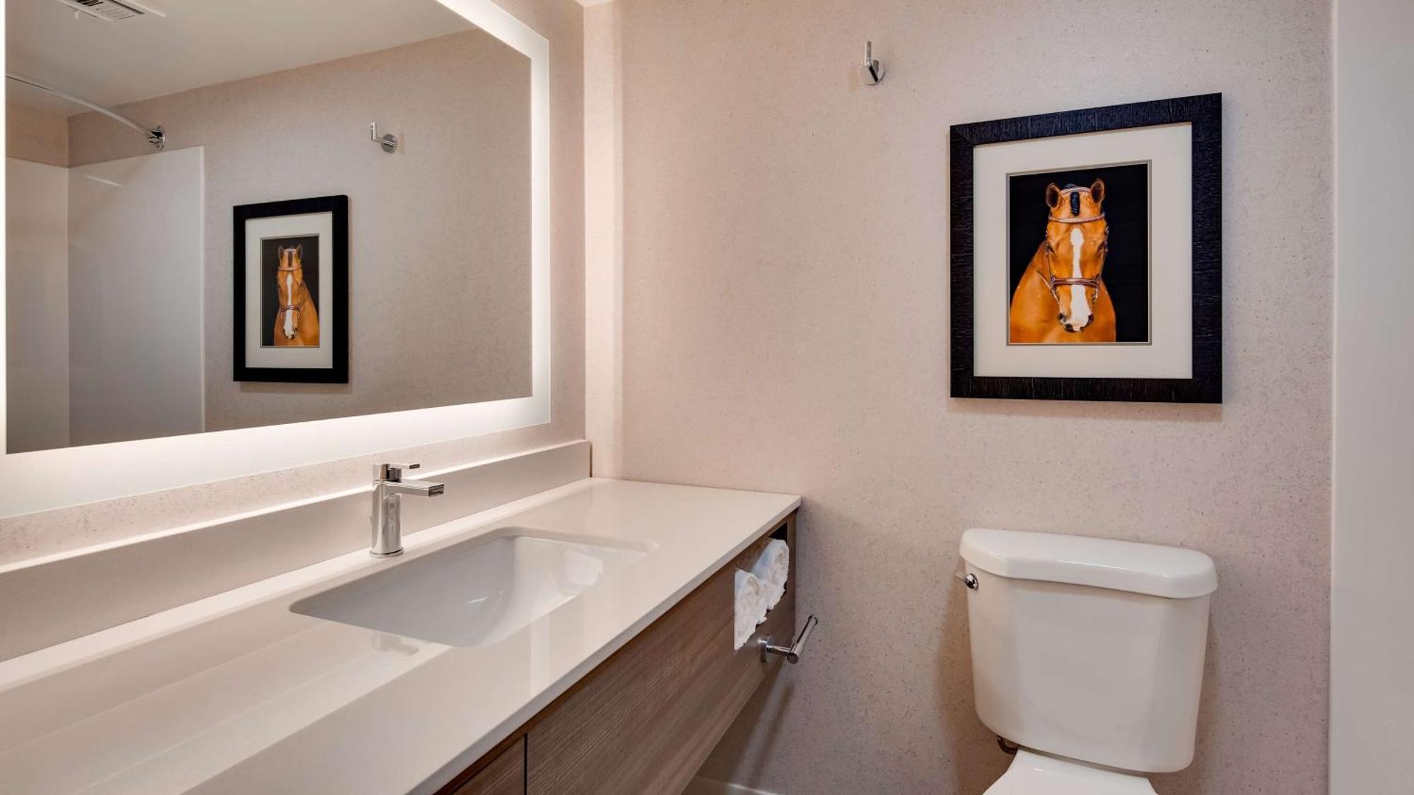 Aiden By Best Western Scottsdale North المظهر الخارجي الصورة